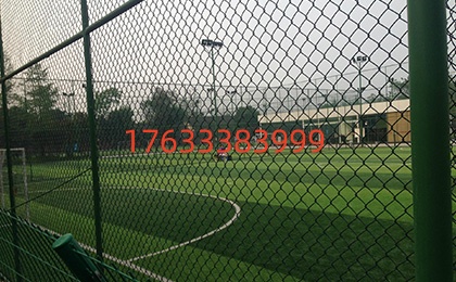 球場圍網 球場圍網